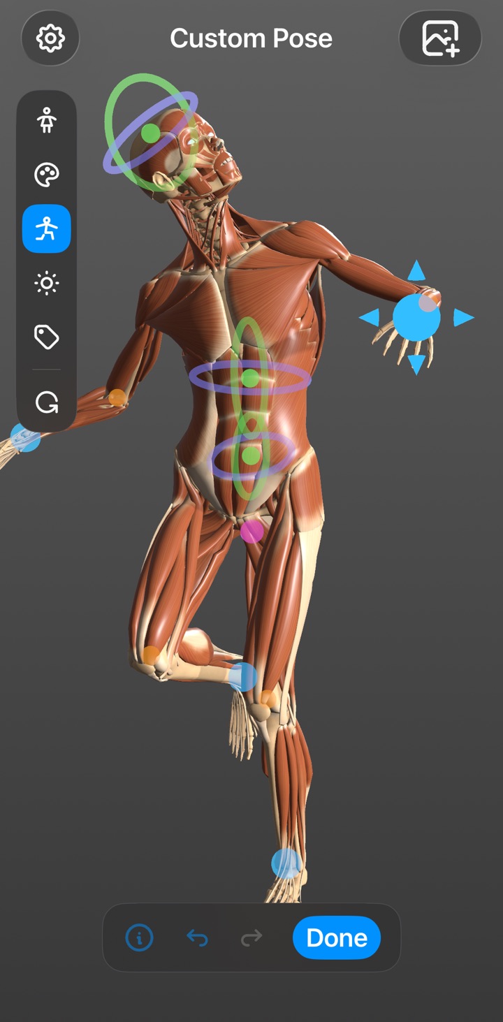 Building a custom gesture by dragging the figure’s joint handles